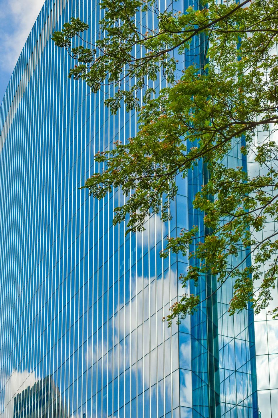 Commercial architecture project